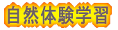���R�̌��w�K 