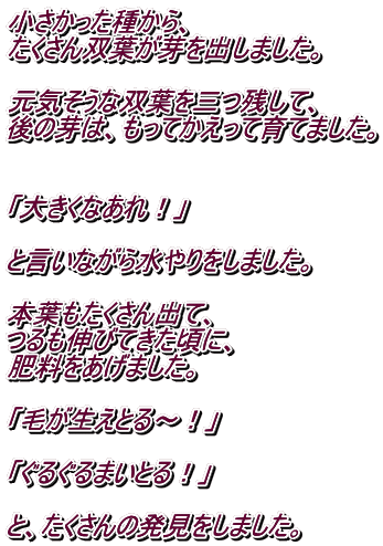 �����������킩��A ��������o�t������o���܂����B  ���C�����ȑo�t���O�c���āA ��̉�́A�����Ă������Ĉ�Ă܂����B   �u�傫���Ȃ���I�v  �ƌ����Ȃ��琅�������܂����B  �{�t����������o�āA ����L�тĂ������ɁA �엿�������܂����B  �u�т������Ƃ�`�I�v  �u���邮��܂��Ƃ�I�v  �ƁA��������̔��������܂����B